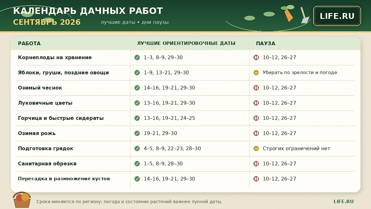 Лунный календарь садовода и огородника на сентябрь 2026 года: полная таблица неблагоприятных дней на первый месяц осени 2026. ИИ-иллюстрация: создано редакцией Life.ru с использованием ChatGPT (OpenAI).
