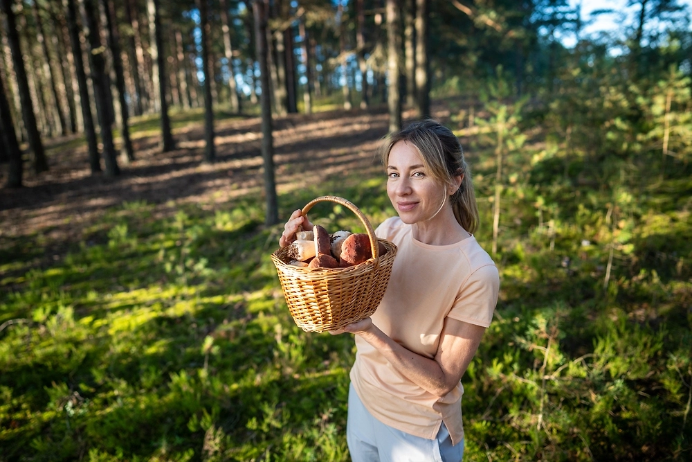 Сходить в лес за орехами и грибами.Фото © Shutterstock / FOTODOM / DimaBerlin