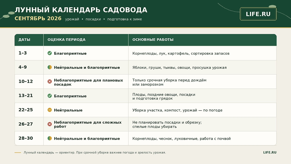 Лунный календарь для садовода и огородника на сентябрь 2026: как лунные фазы влияют на работы в саду и таблица благоприятных дат на сентябрь 2026. ИИ-иллюстрация: создано редакцией Life.ru с использованием ChatGPT (OpenAI).