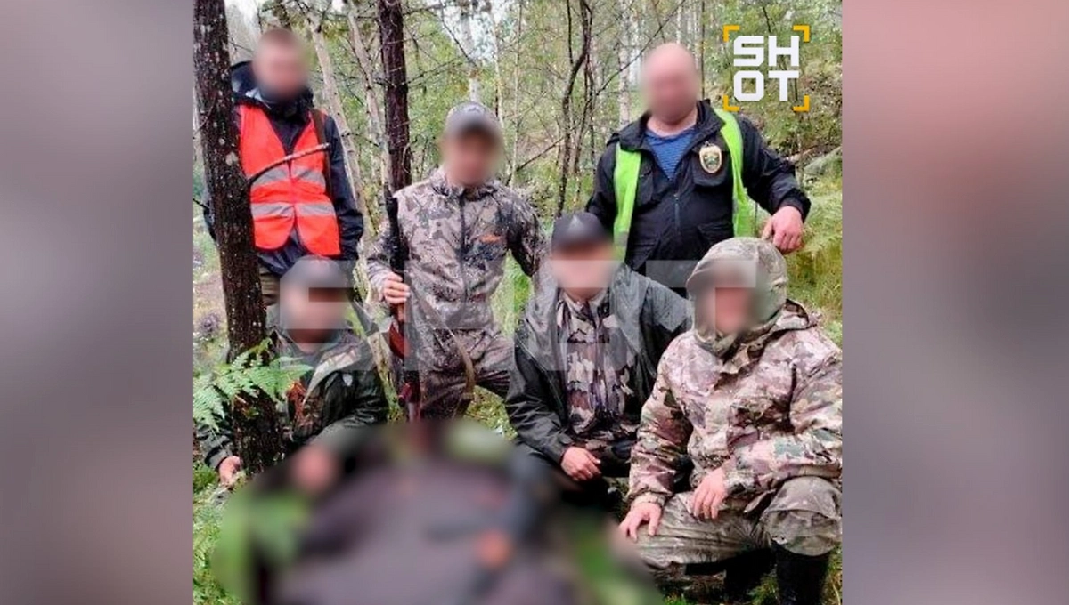 Зоозащитники попросили Бастрыкина проверить отстрел медведей на Алтае. Фото © SHOT