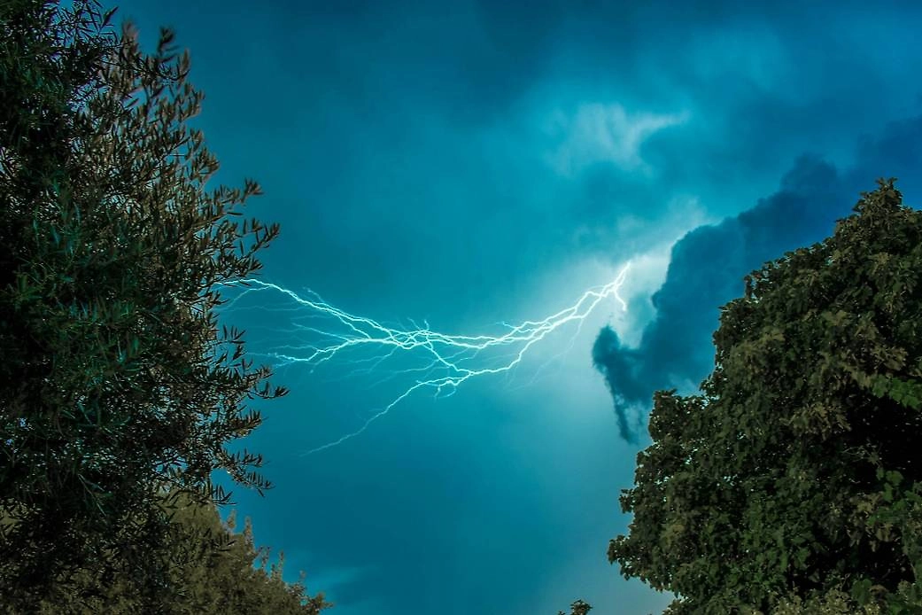 Обложка © Shutterstock / FOTODOM / Filipe Rego