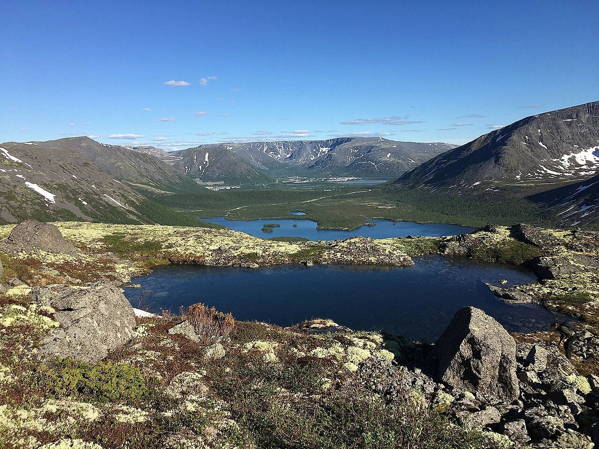 Обложка © Wikipedia / Lousbiorg