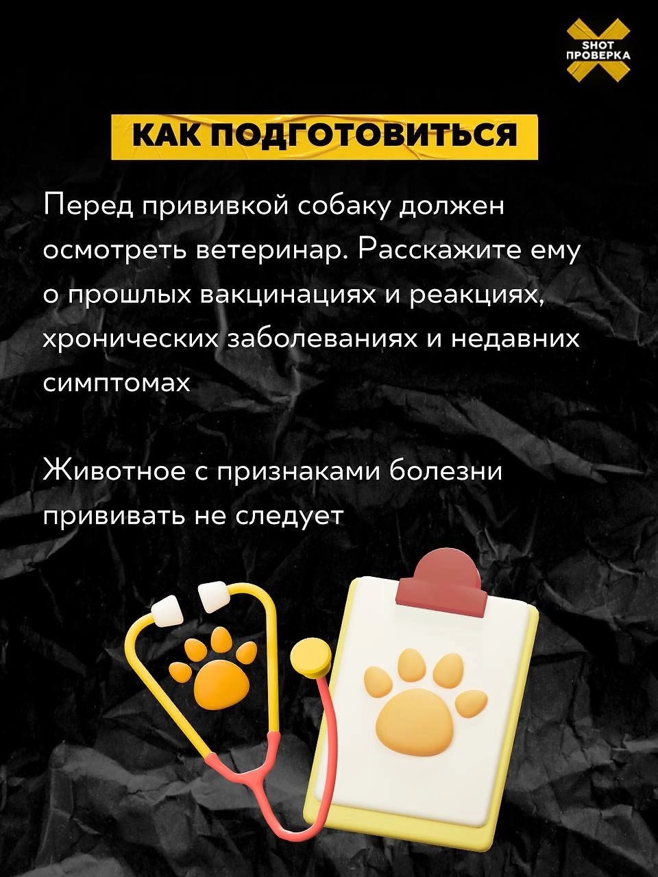 Фото © Telegram/SHOT ПРОВЕРКА