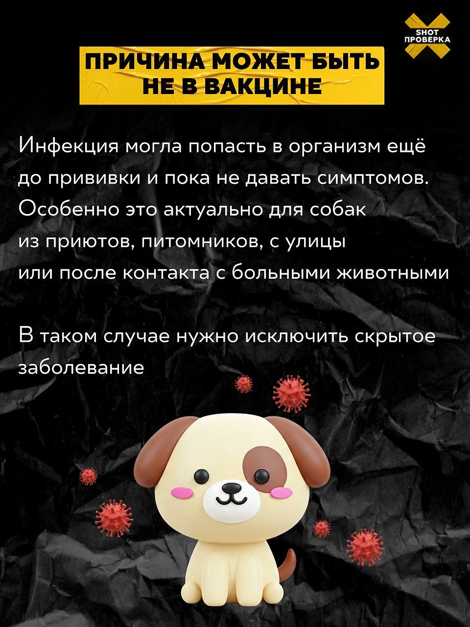 Фото © Telegram/SHOT ПРОВЕРКА