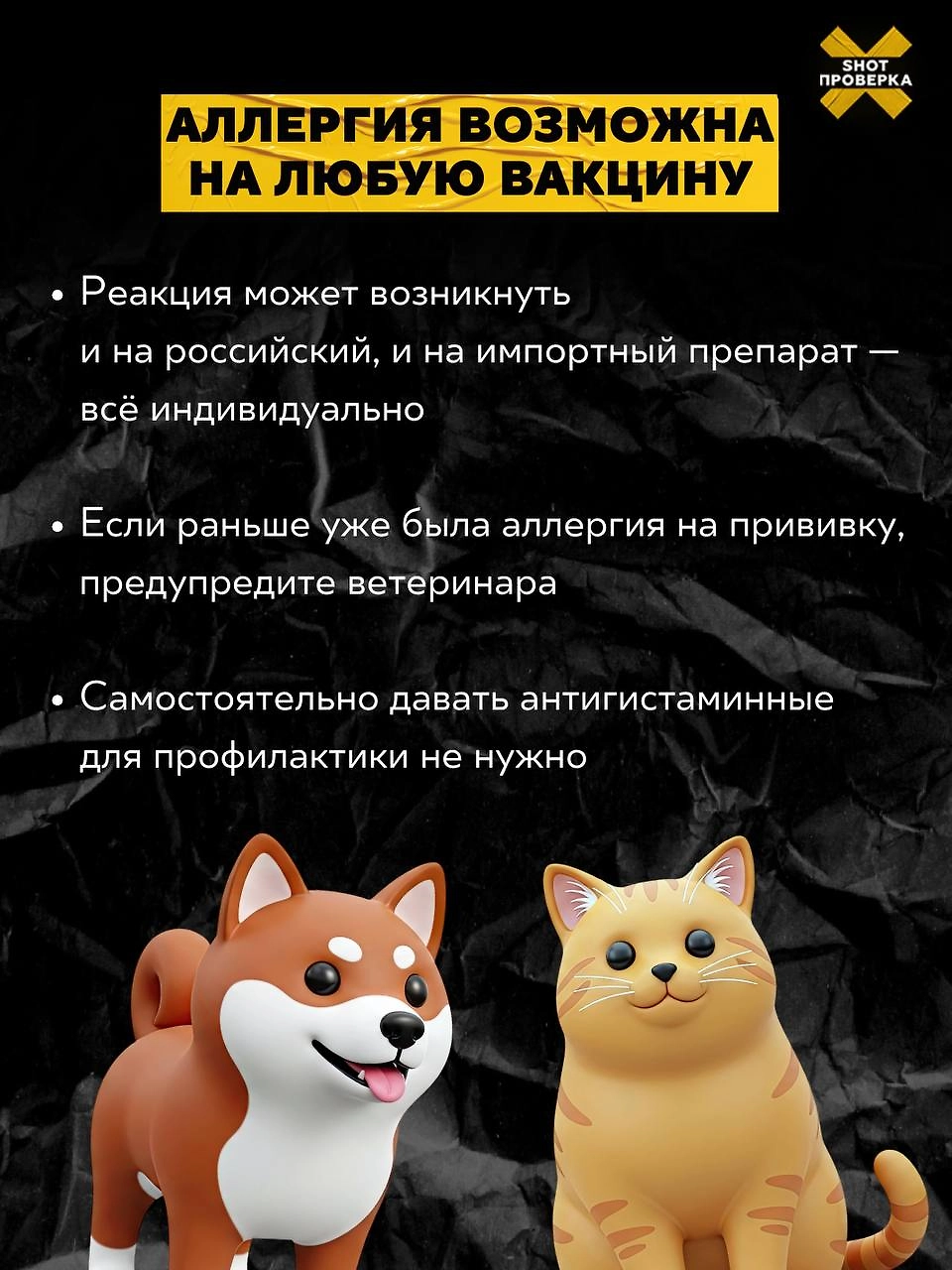 Фото © Telegram/SHOT ПРОВЕРКА