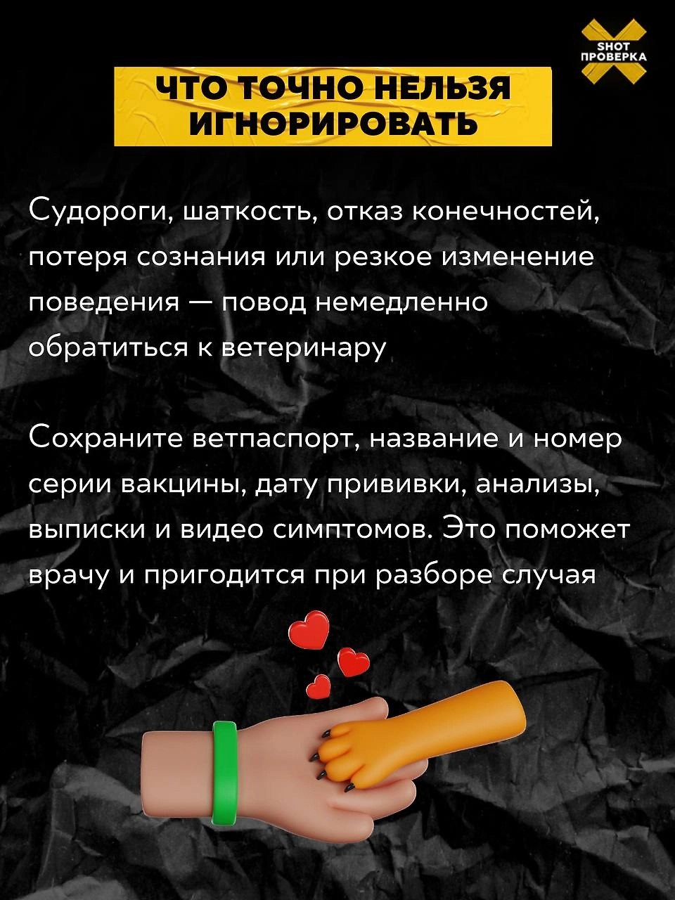 Фото © Telegram/SHOT ПРОВЕРКА