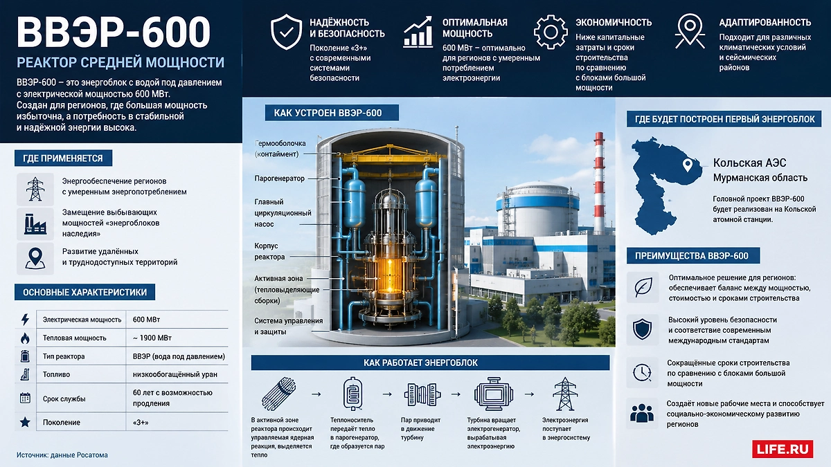 Реактор средней мощности ВВЭР-600: как устроен энергоблок, где его планируют построить и для каких регионов он предназначен. Инфографика © Life.ru