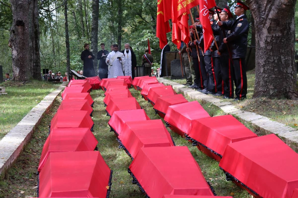 Обложка © VK / Поисковая экспедиция «Долина» памяти Н.И. Орлова