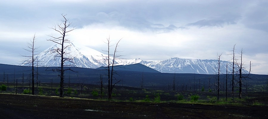 Обложка © Wikipedia / Kamchatka-tc