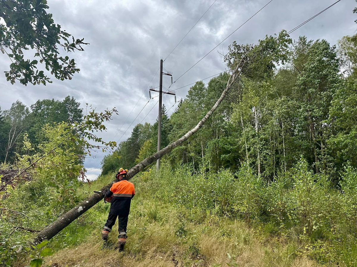 Обложка © Telegram / Гродноэнерго
