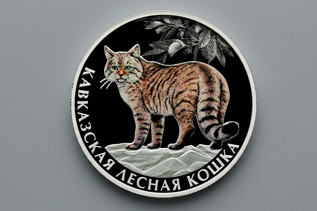 «Кавказская лесная кошка». Фото © Пресс-служба Банка России