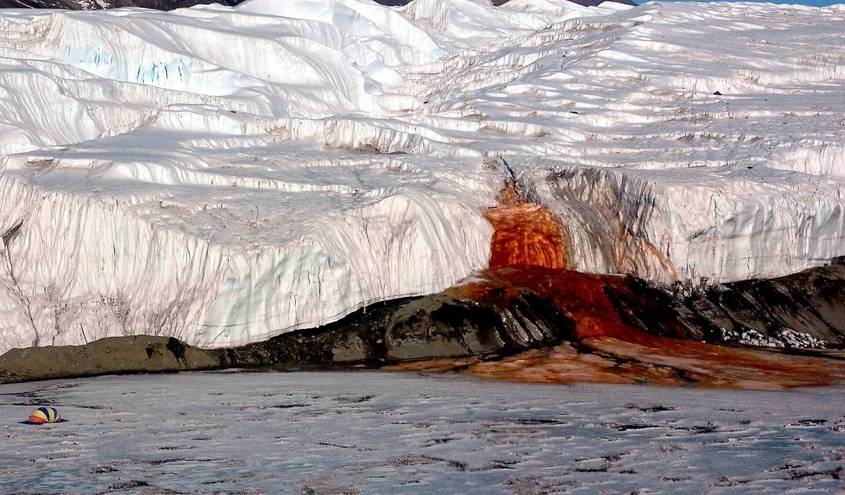 Обложка © Wikipedia / National Science Foundation/Peter Rejcek