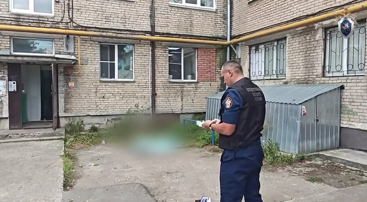 В Челябинской области сын выбросил 64-летнего отца из окна и не раскаялся. Обложка © Telegram / Челябинский следком