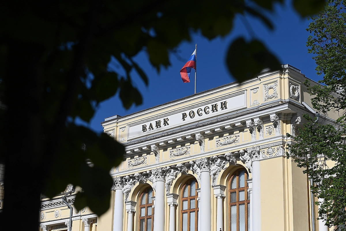 Обложка © Life.ru