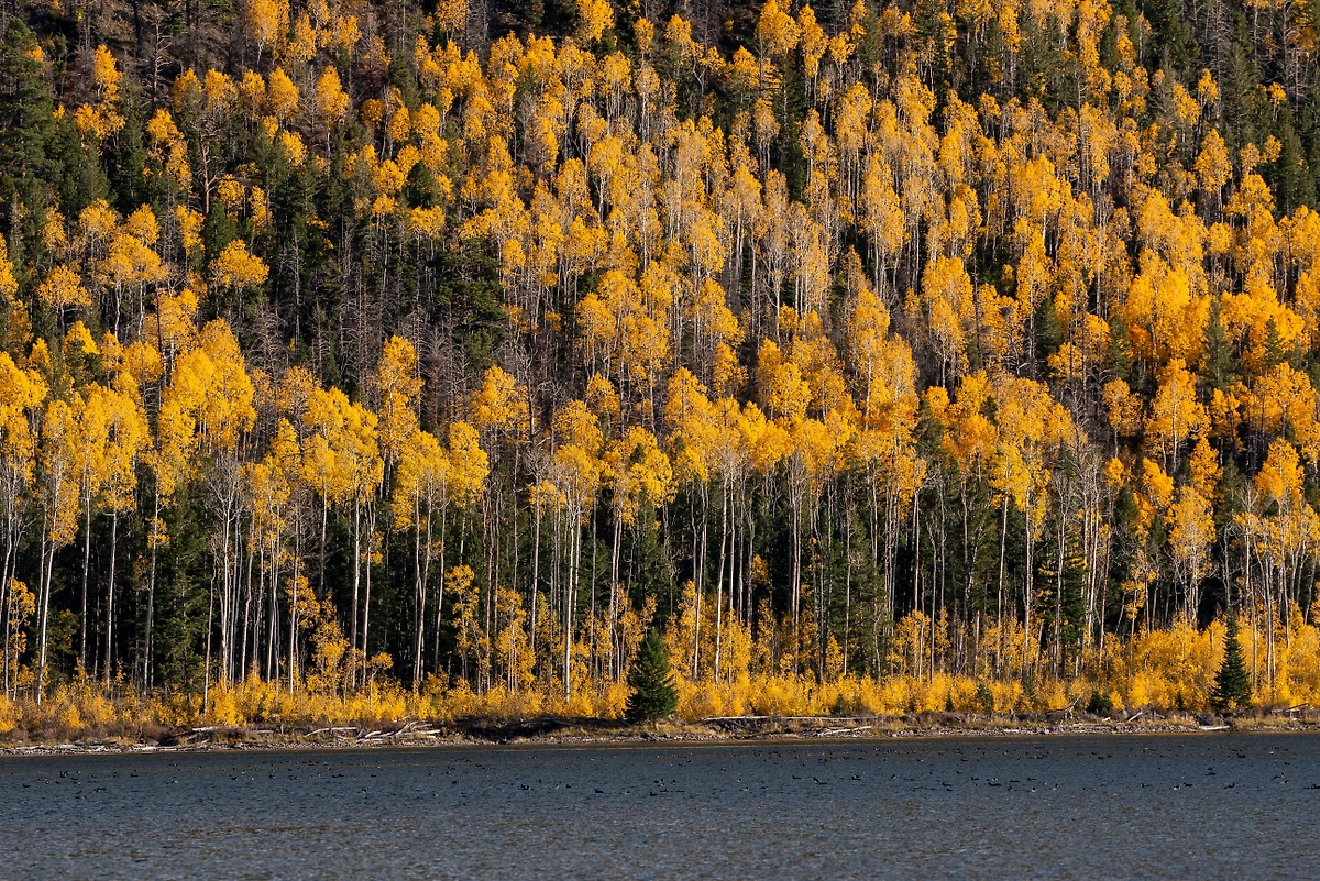 Обложка © Shutterstock / FOTODOM / Rafael Novais
