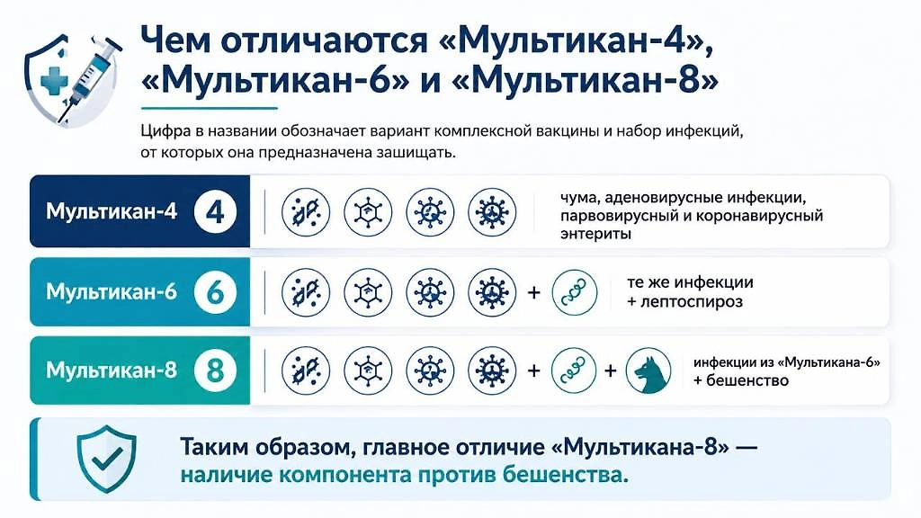 Чем отличаются вакцины «Мультикан-4», «Мультикан-6» и «Мультикан-8» и от каких инфекций они защищают. Инфографика © Life.ru