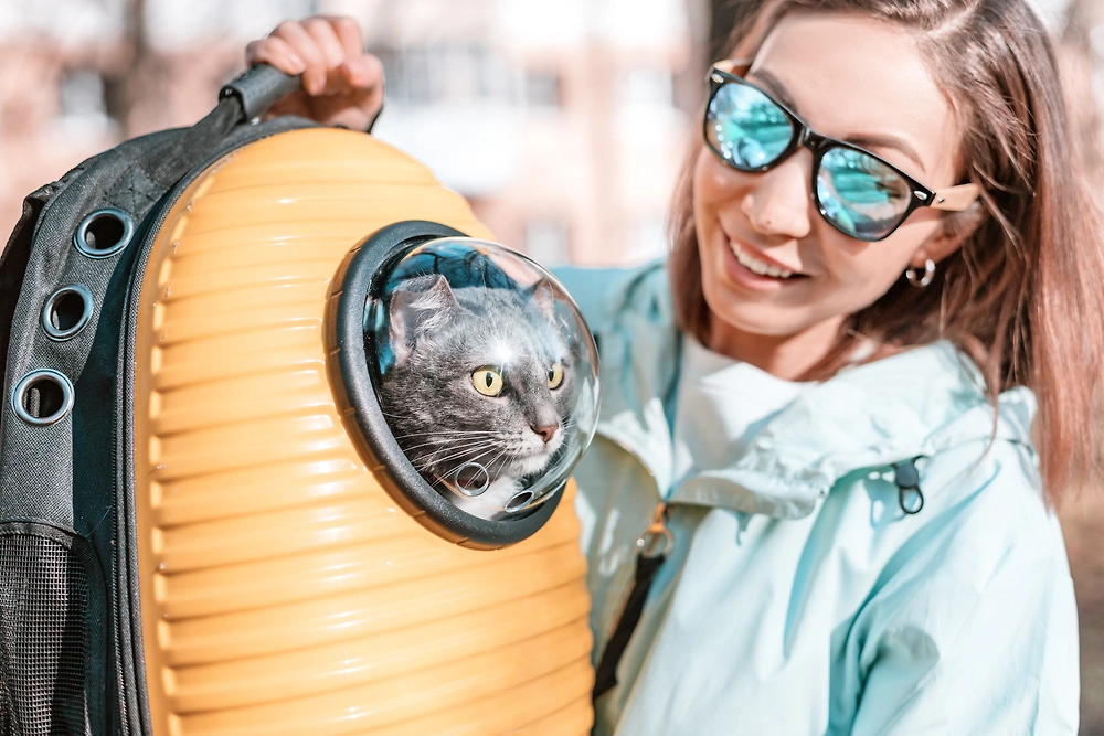 Обложка © Shutterstock / FOTODOM / frantic00