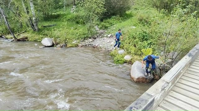 В Чемальском районе обрушился мост через реку Элекмонар из-за подъёма воды. Фото © VK / Айдар Елеков