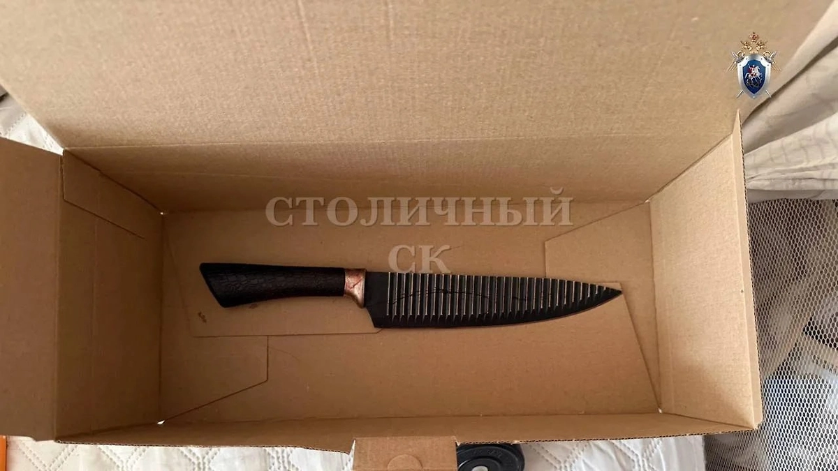 Орудие убийства. Фото © Telegram / Столичный СК