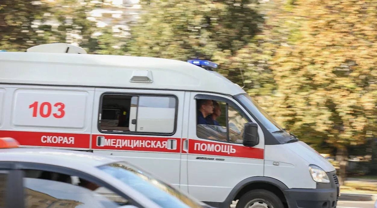 Обложка © Life.ru