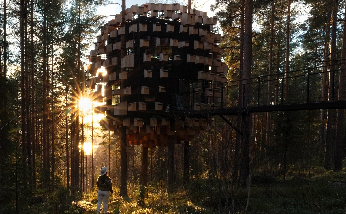 Отель Treehotel в Швеции с номером в виде летающей тарелки. Фото © Instagram (признан экстремистской организацией и запрещён на территории Российской Федерации) / treehotel