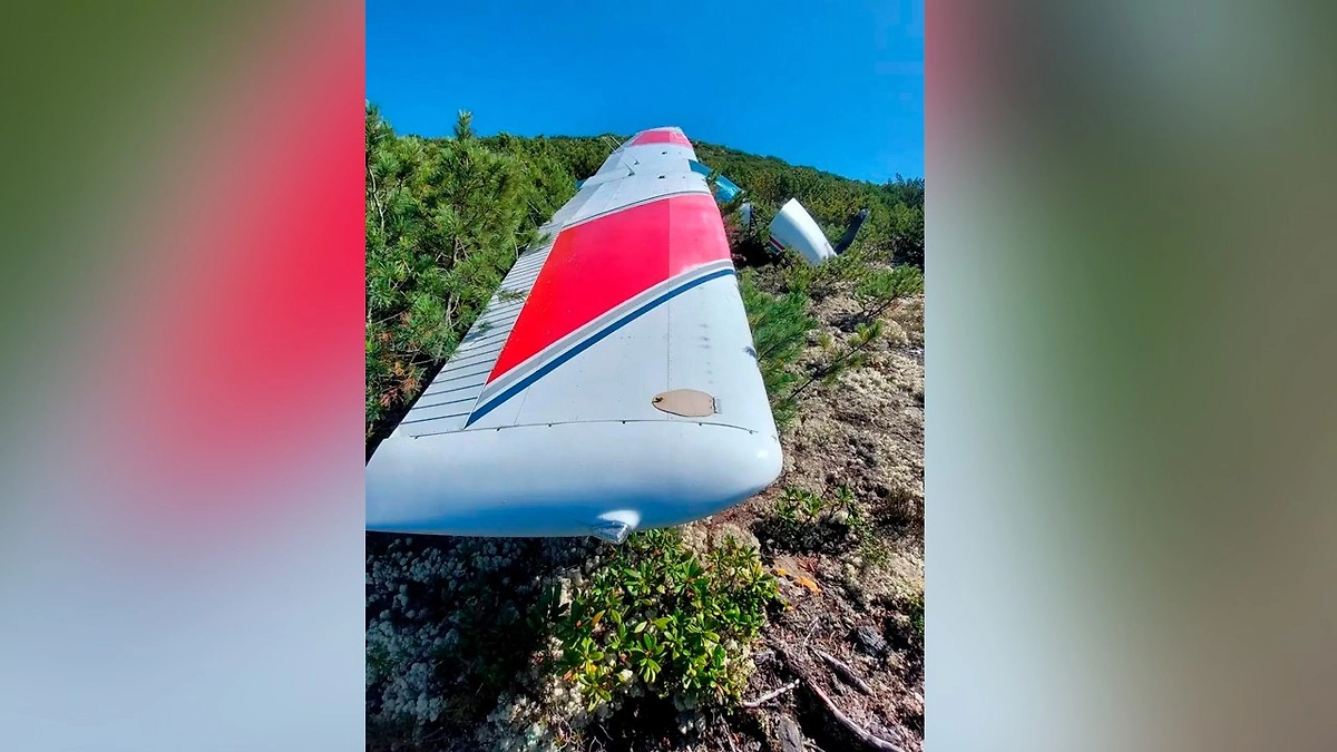 Появились первые кадры с места крушения самолёта Cessna 182 в Приангарье. Фото © Telegram / Кобзевнасвязи