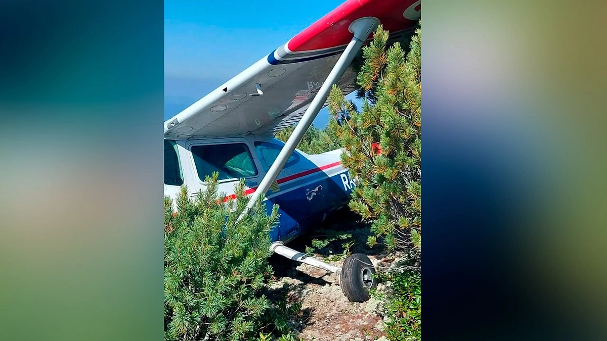 Появились первые кадры с места крушения самолёта Cessna 182 в Приангарье. Фото © Telegram / Кобзевнасвязи