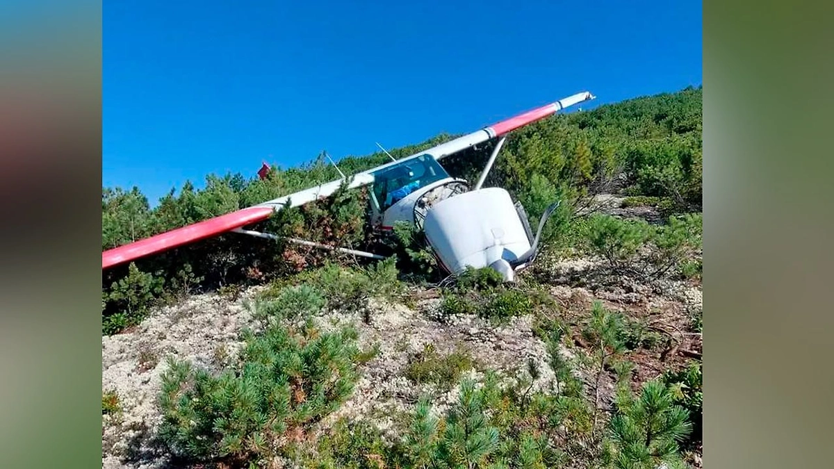 Появились первые кадры с места крушения самолёта Cessna 182 в Приангарье. Обложка © Telegram / Кобзевнасвязи