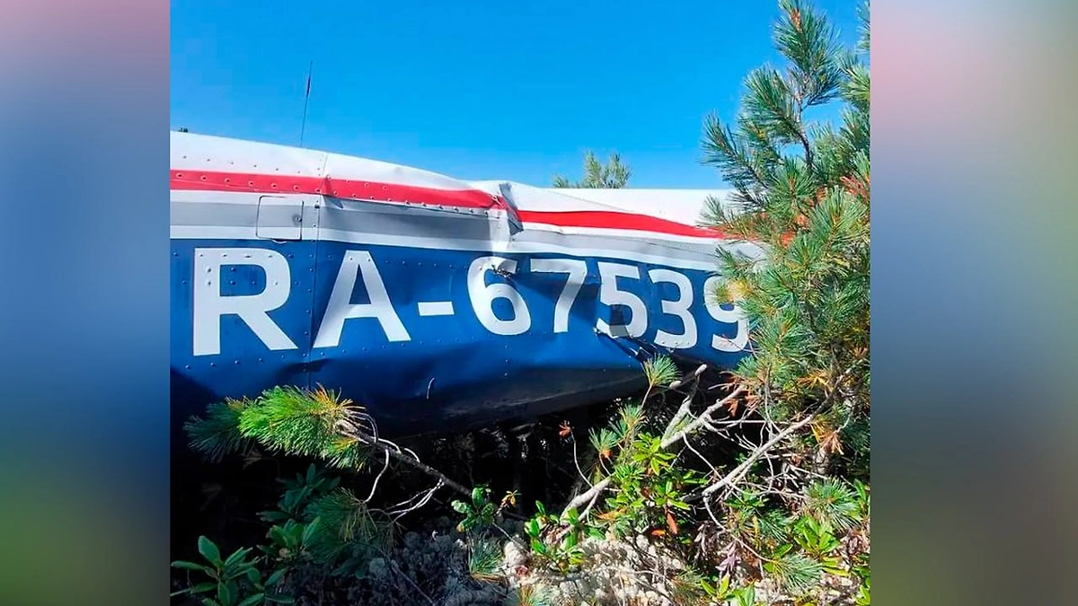 Появились первые кадры с места крушения самолёта Cessna 182 в Приангарье. Фото © Telegram / Кобзевнасвязи