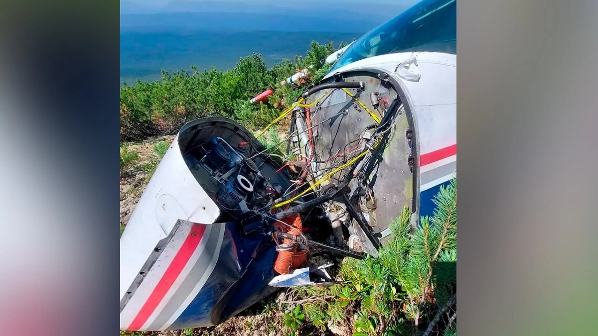 Появились первые кадры с места крушения самолёта Cessna 182 в Приангарье. Фото © Telegram / Кобзевнасвязи