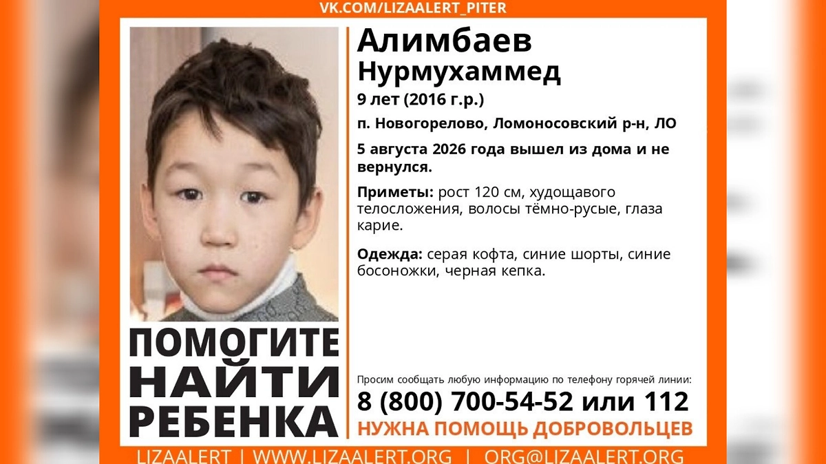 Девятилетний мальчик вышел из дома и не вернулся в Ленобласти. Фото © VK / Поисковый отряд «ЛизаАлерт» Питер