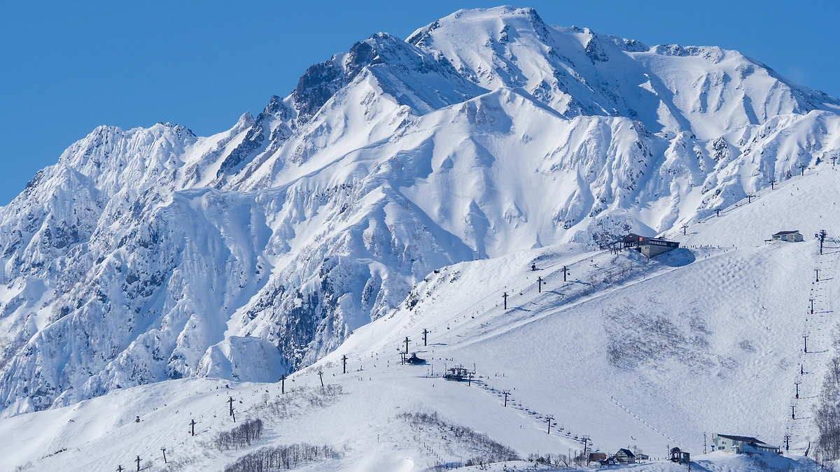 Обложка © Shutterstock / FOTODOM / RATM