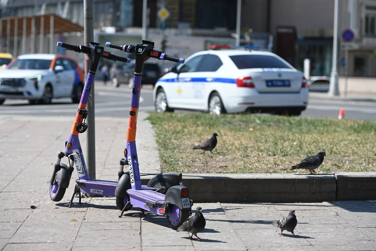Обложка © Life.ru