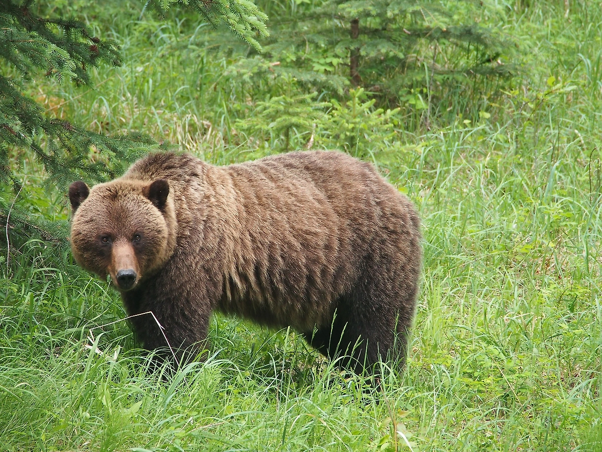 Обложка © Shutterstock / FOTODOM / Marcus Haywood