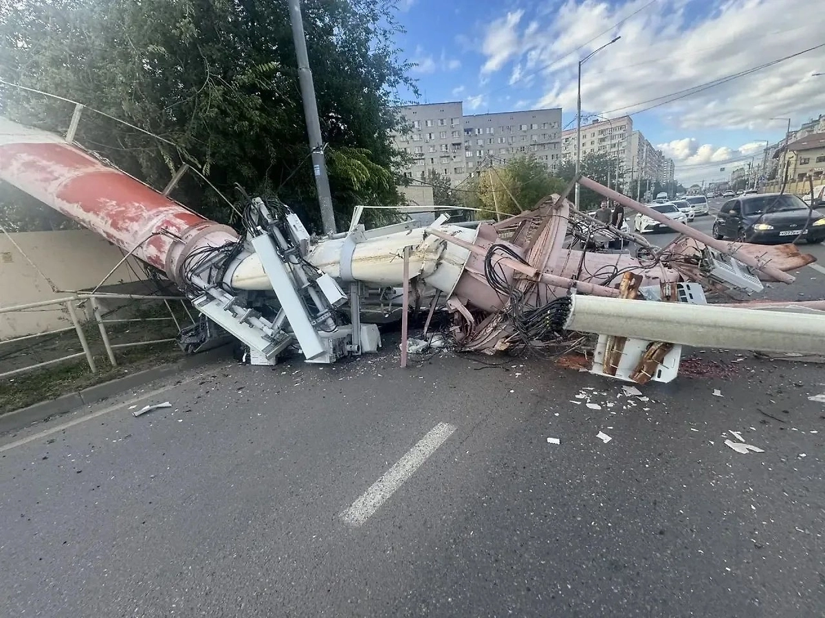 Обложка © ВК/Управление МВД России по городу Краснодару
