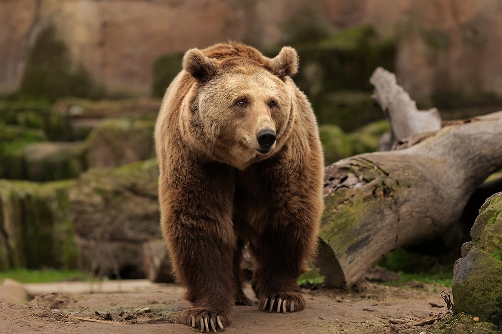 Обложка © Shutterstock / FOTODOM / Perpis