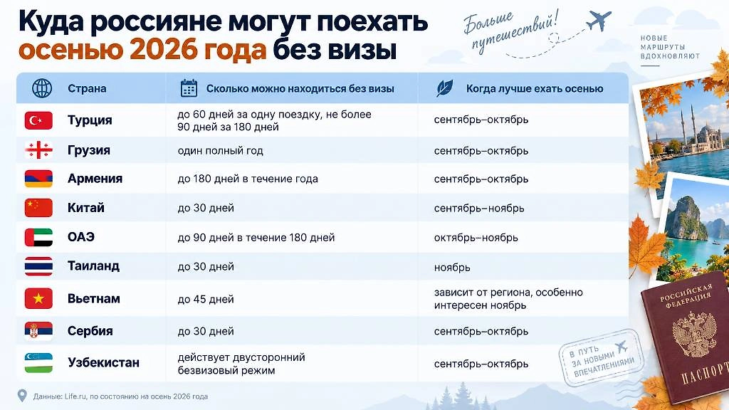 Инфографика © Life.ru
