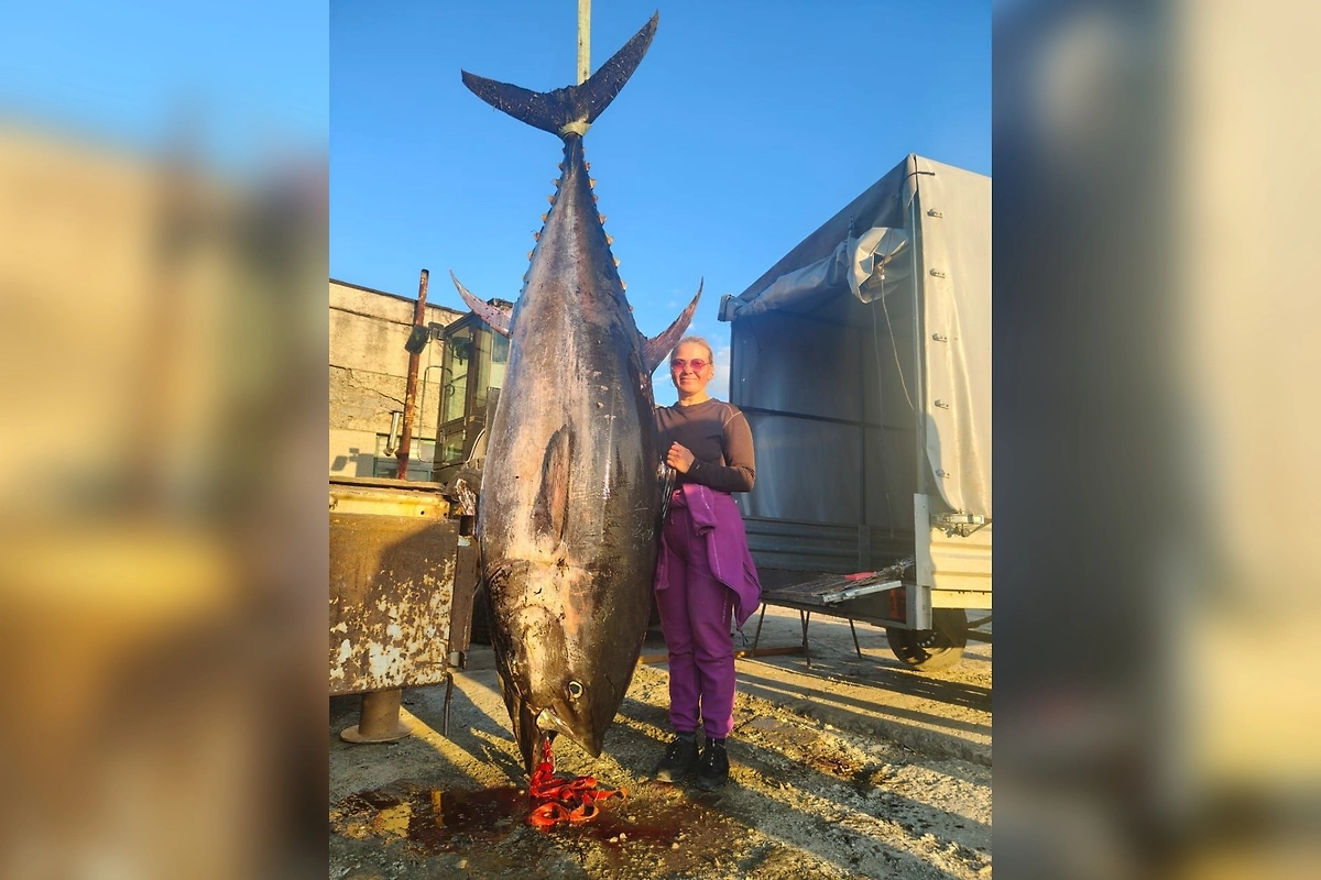 Две девушки поймали на Сахалине тунца весом 285 килограммов. Фото © Telegram / Борис Рябченков