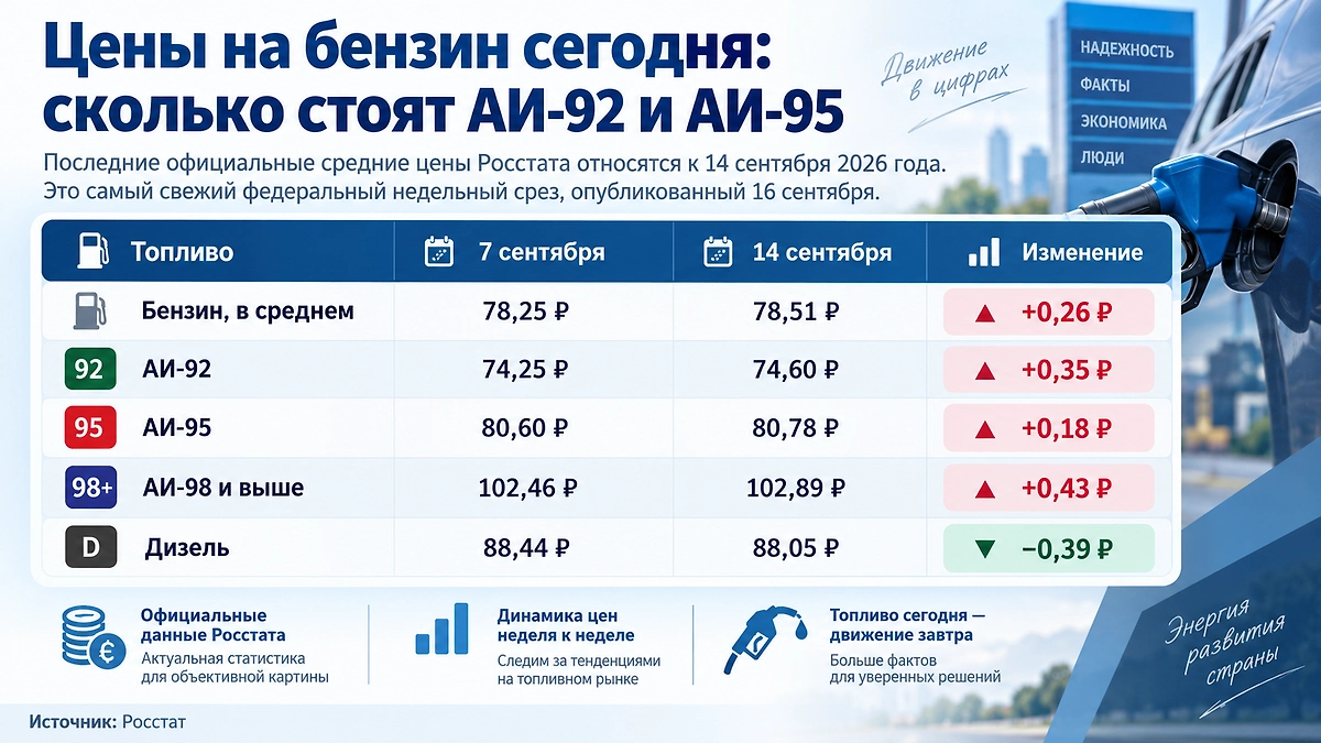 Инфографика © Life.ru