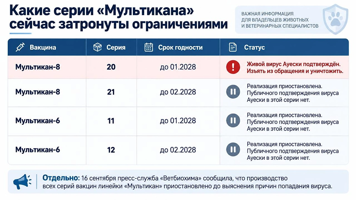 Инфографика © Life.ru