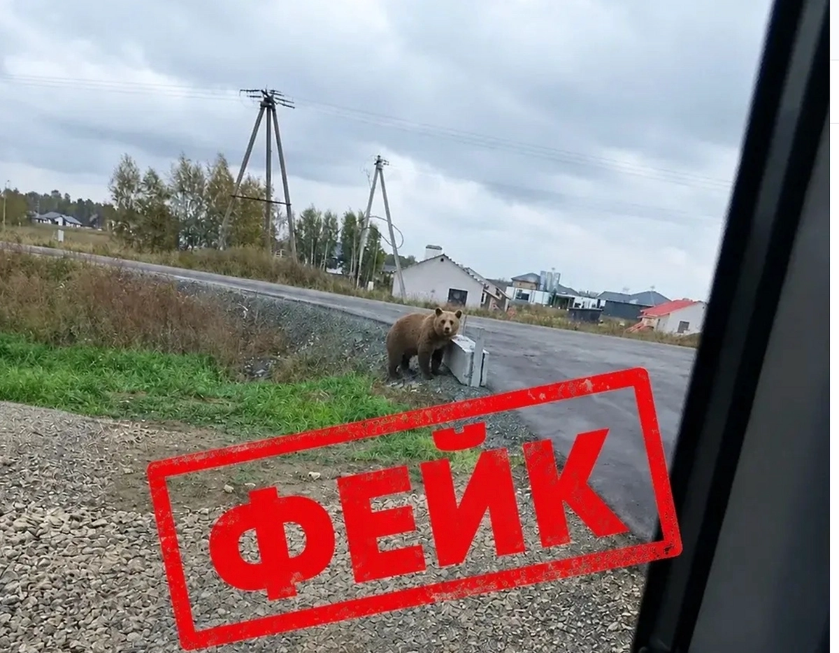 Фото © VK / Елена Кудашкина