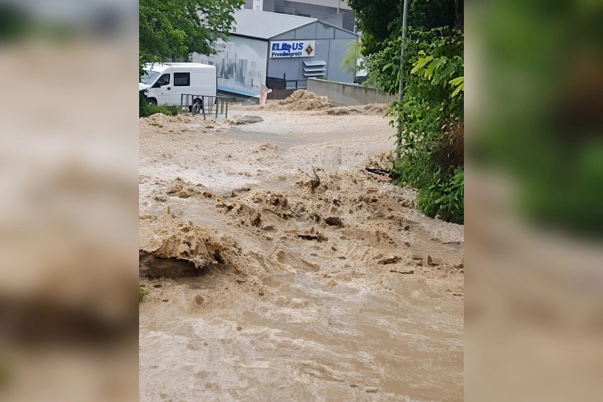Сочи затопило после сильного ливня. Обложка © Telegram /ЧП Сочи;