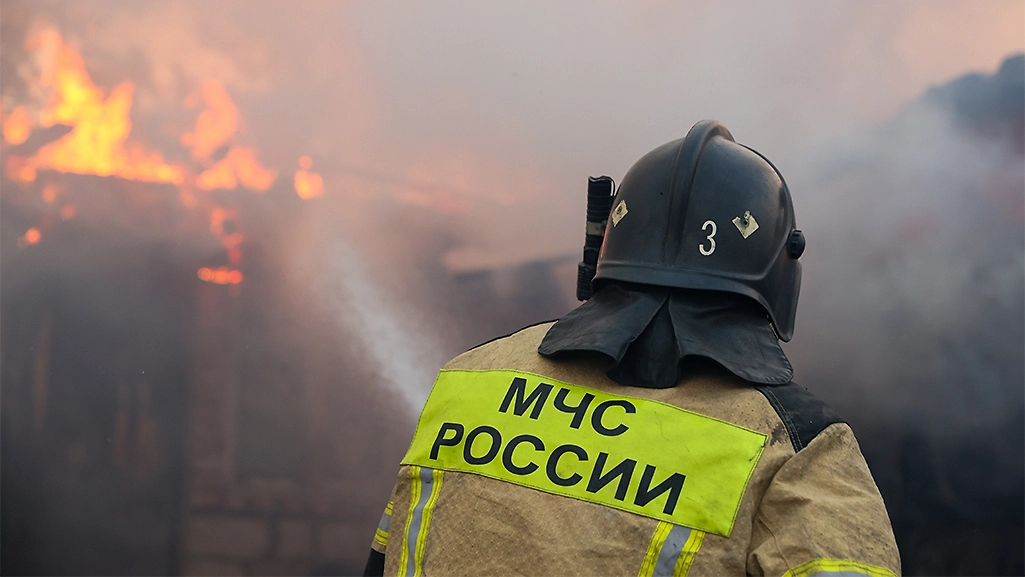 Обложка © ТАСС / Александр Река