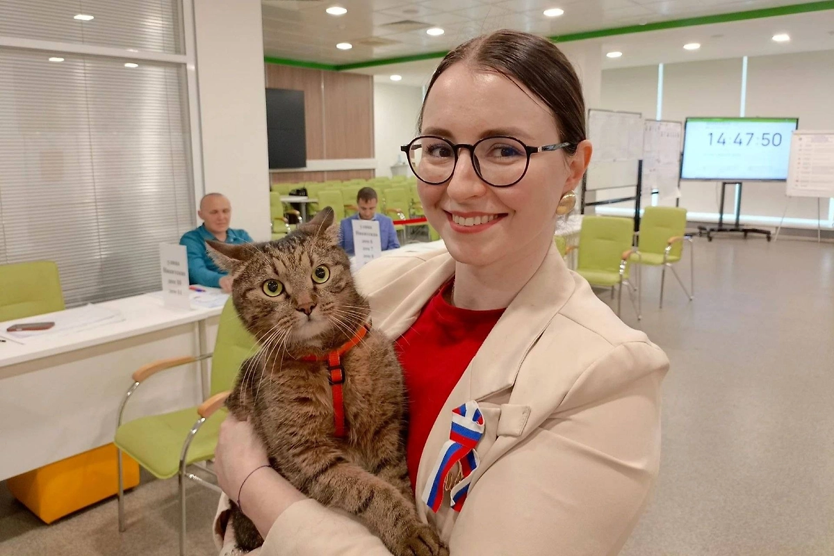 В Курске на избирательном участке №86 работает кот Тони. Обложка © Telegram / Курская область