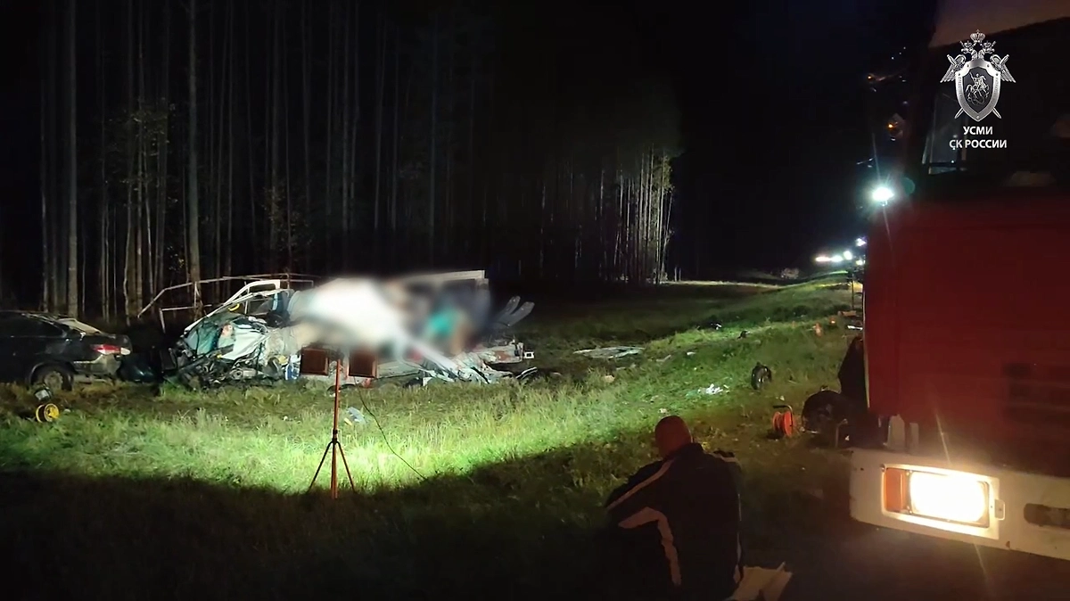 ДТП с автобусом под Архангельском. Обложка © Telegram / Следком