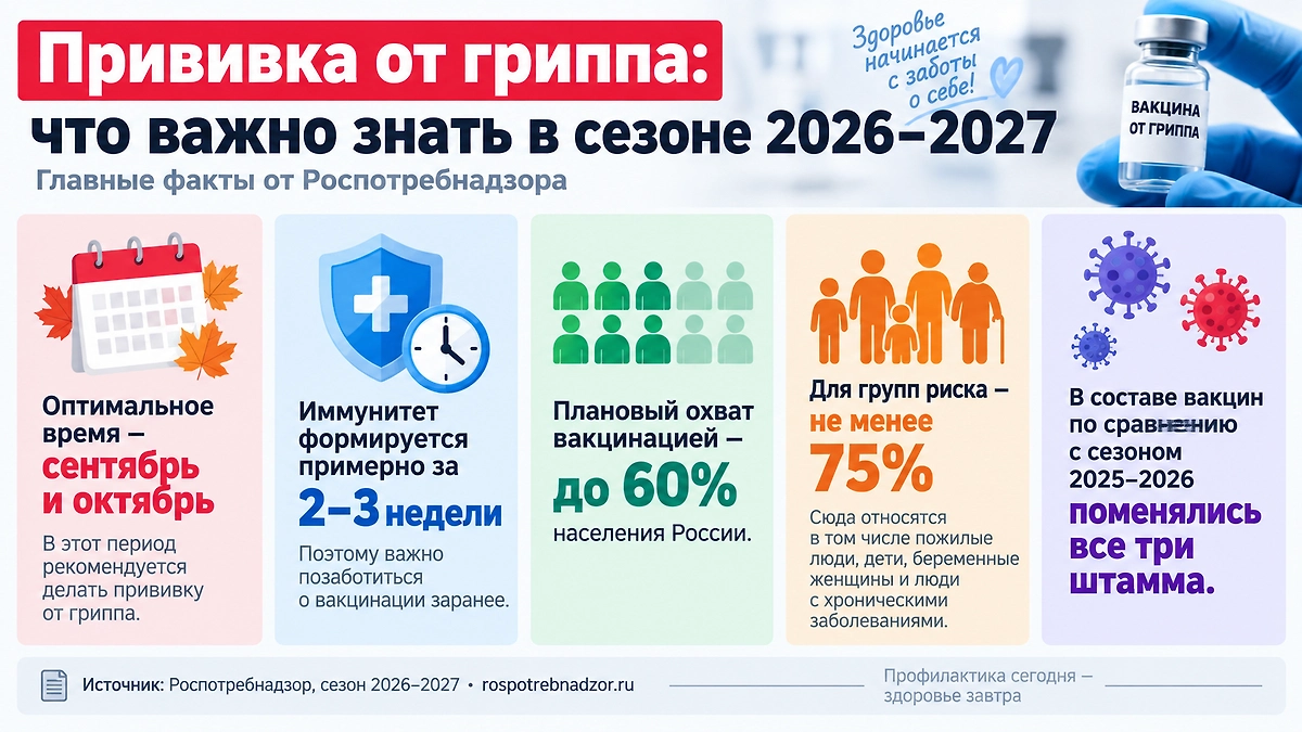 Памятка по вакцинации от гриппа в сезоне 2026–2027: когда лучше делать прививку, сколько формируется иммунитет и кому особенно важно вакцинироваться. Инфографика © Life.ru (по материалам Роспотребнадзора).  