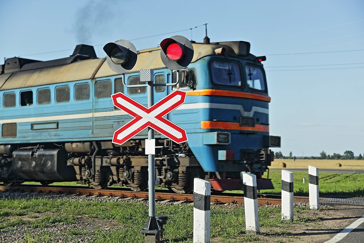 Обложка © Shutterstock / FOTODOM / ilmarinfoto
