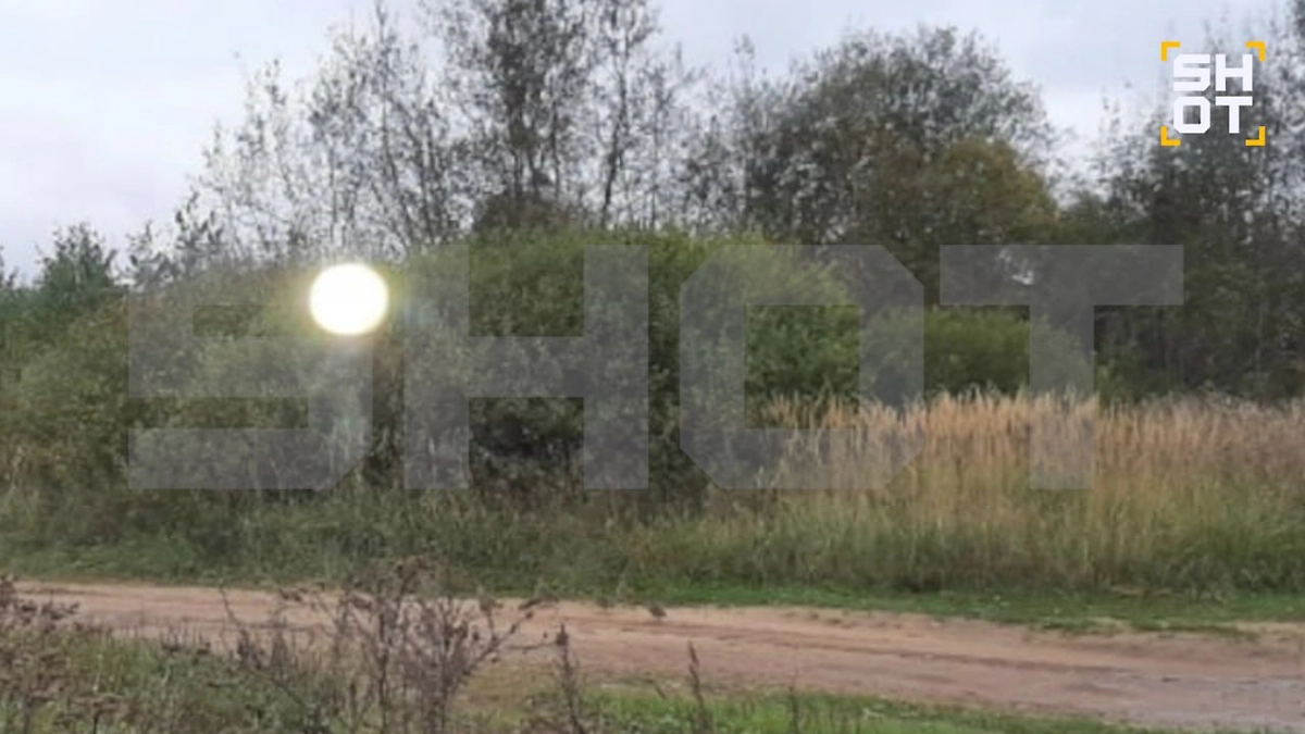 Загадочный золотистый шар переполошил деревню под Ярославлем. Фото © Telegram / SHOT