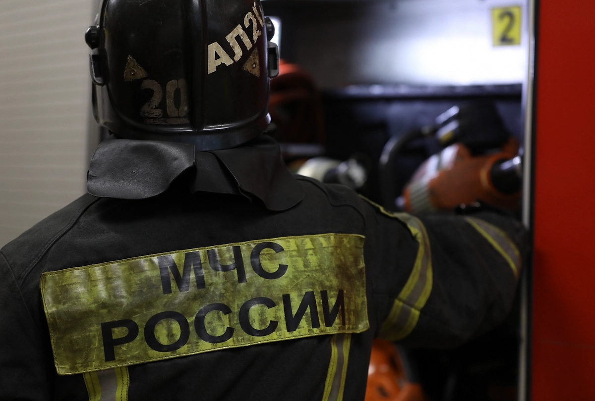 Обложка © Life.ru