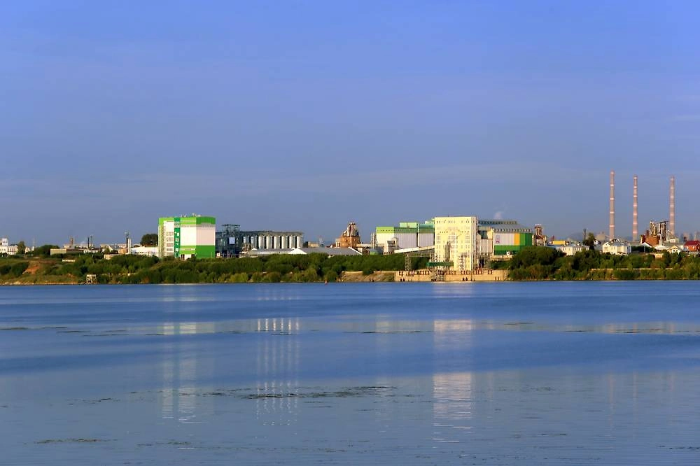 Обложка © Shutterstock / FOTODOM / Venera Salman
